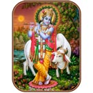"Krishna at Dusk" T-Shirt